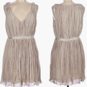 BB DAKOTA Chiffon Frost Beige Cocktail Dress
